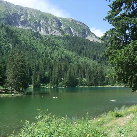 De Montagne 13 Couchages Шале